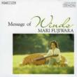 Message Of Winds