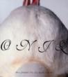 �e�C���Y �A�E�g
