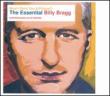 Must I Paint You A Picture ? (The Essential Billy) (Ltd)