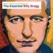 Must I Paint You A Picture ? (The Essential Billy)