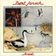 Avocet