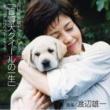 Nhk Getsuyo Drama Series: : [modoken Quill No Issho] Original Soundtrack