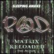 Sleeping Awake