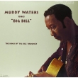 Sings Big Bill Broonzy