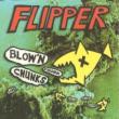Blown' s Chunks