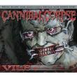 Vile: 25th Anniversary Edition (+dvd)