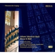 Mass In B Minor : Biller / Thomanerchor, Leipzig Baroque Orchestra (2006)(2CD)