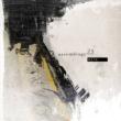 Meta Assemblage 23
