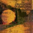 Destruction Of Small Ideas