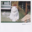 Namida No Ichi