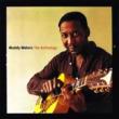 Anthology Muddy Waters