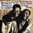 Breakin It Up: Breakin It Down Muddy Waters