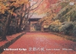 Virtual Trip Kyoto In Autumn
