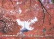 Virtual Trip Kyoto In Autumn Foliage