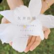 I Love You No Katachi/Haneyume