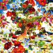 Wild Flowers (+dvd)(Ltd)