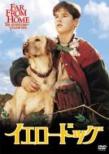 Far From Home: The Adventures Of Yellow Dog