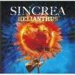 Helianthus