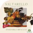 Saltarello: Ensemble Braccio