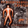 Pithecanthropus Erectus
