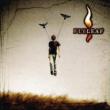 Flyleaf