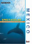 ���L�V�R Spectacular