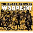 Warpaint