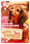Wanwan Express