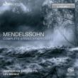 Comp.string Symphonies: Markiz / Nieuw Sinfonietta Amsterdam