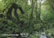 Virtual Trip Yakushima Yukyu No Rakuen Part 1