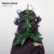 Fabric 39 Robert Hood
