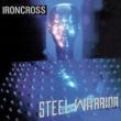 Steel Warrior