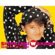 Shimazaki Wakako 20th Anniversary Box