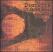 Destruction Of Small Ideas