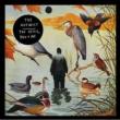 Devil,  You  &  Me