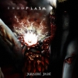 Endoplasm