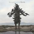 Rook Shearwater