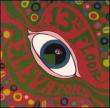 Psychedelic Sounds Of