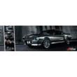 �t�H�[�h �V�F���r�[ Gt500 : �X�����|�X�^�[