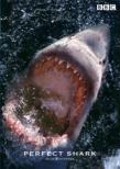 Blue Odyssey Series: Perfect Shark