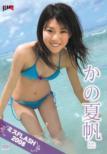 �~�Xflash2008 ���̉Ĕ�