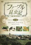 Fabre Konchuki Karibachi To Yamamayu Honnou No Meizuru Mama Ni