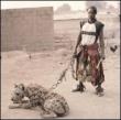 Lagos Shake: A Tony Allen Chop Up