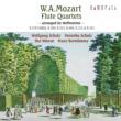 (Flute Quartet)oboe Quartet, Piano Sonata, 7, 9, 11, 18: Schulz(Fl)Bartolomey(Vc)Etc
