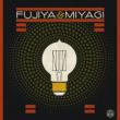 Lightbulbs
