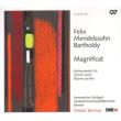 Magnificat, Etc: Bernius / Deutsche Kammerphilharmonie Etc