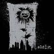 Elder