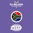 Township Funk