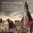 The Leipzig Collection : Palladian Ensemble (2CD)