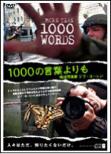...More Than 1000 Words